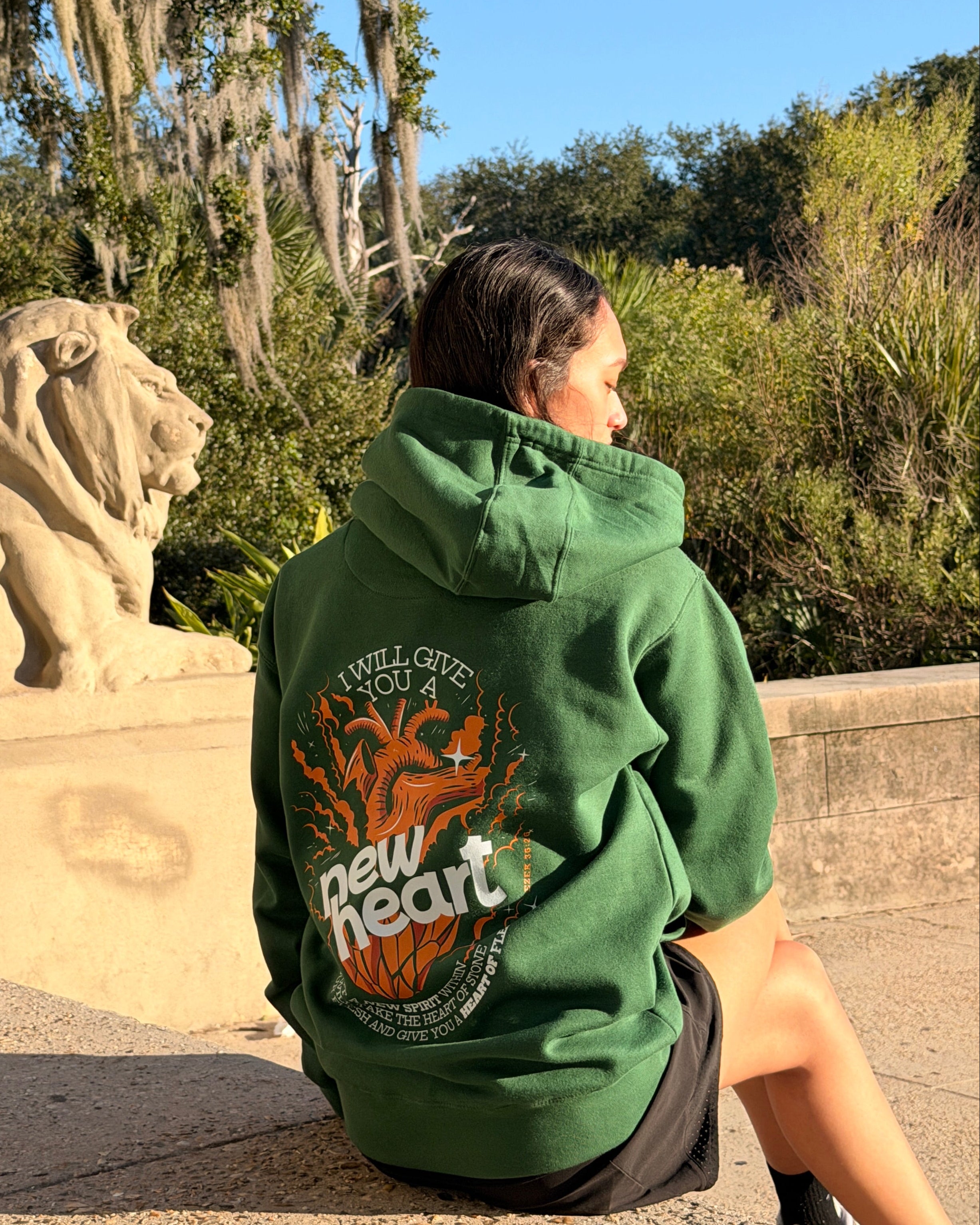 A person sitting outdoors on a stone ledge, wearing a green hoodie with a large orange and white graphic on the back. The background features a lion statue, trees with Spanish moss, and a clear blue sky.